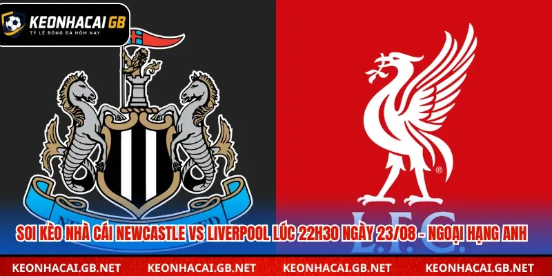 Soi kèo nhà cái Newcastle vs Liverpool
